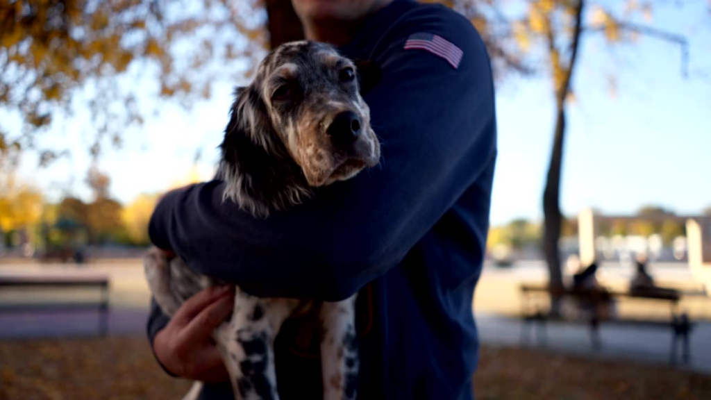 Veterans and Emotional Support Animal in Texas EmotionalSupportAnimalsOfTexas.com